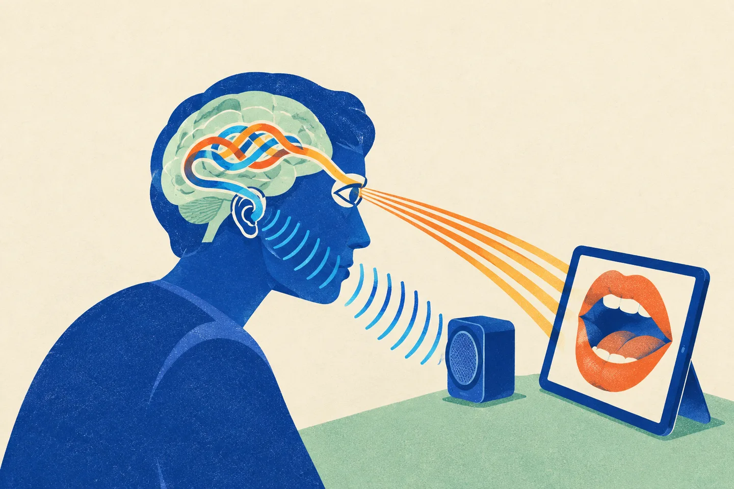 Ilustración de una persona mirando unos labios en una pantalla, con señales visuales y sonoras que convergen en su cerebro.