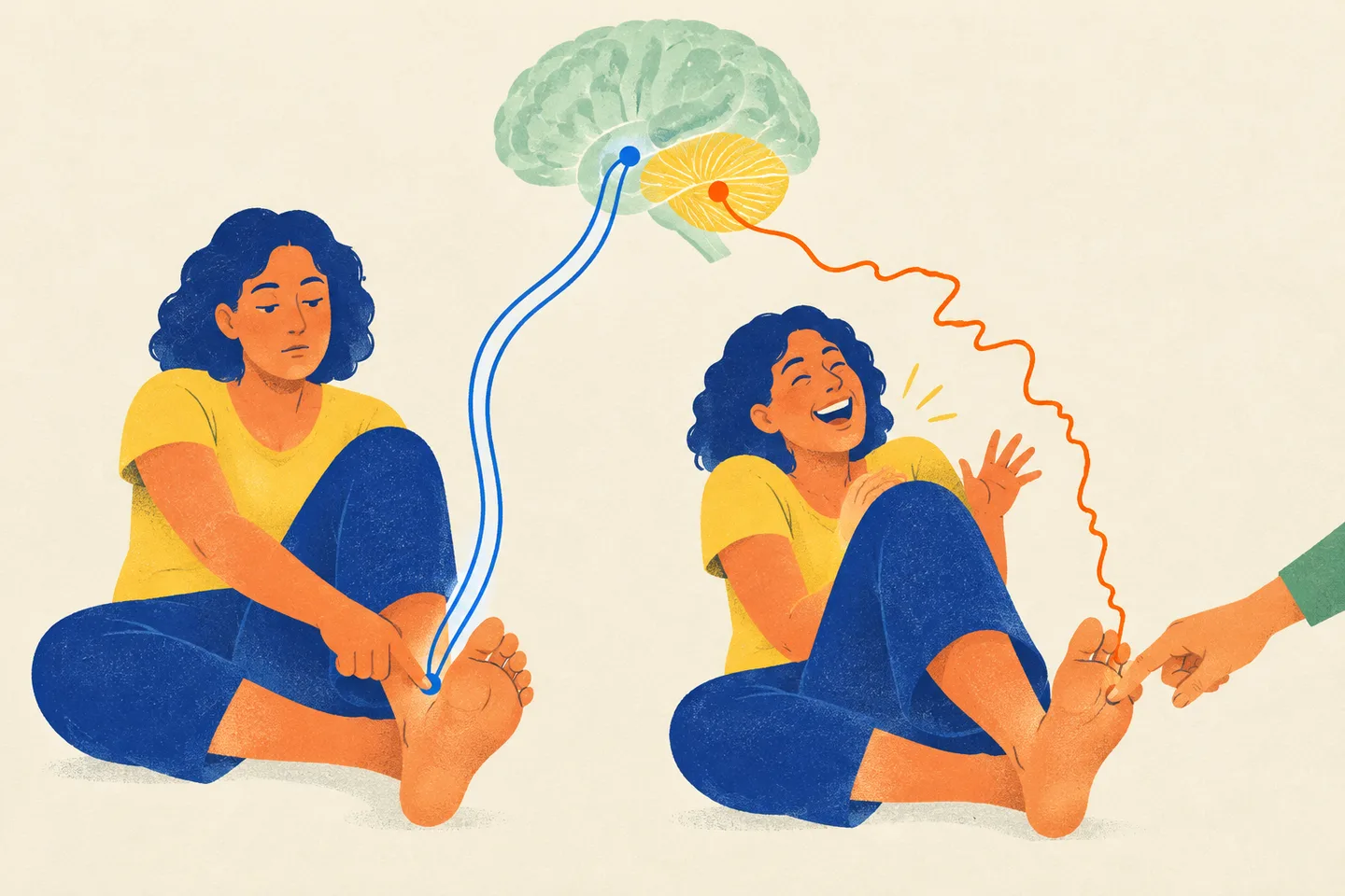 Una persona compara las cosquillas propias con las ajenas, bajo un cerebro con el cerebelo destacado.